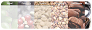 site_caffe.gif