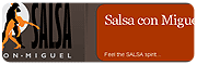 site_salsaconmiguel-bg.gif